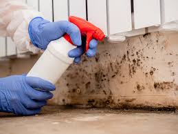  , USA Mold Prevention & Removal Pros